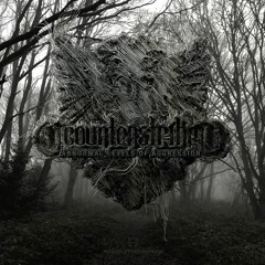 Counterstrike  - Abnormal Levels of Aggression EP