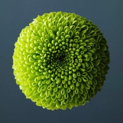 ■ A n a h a t a ■