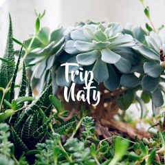 Trip — Nafy