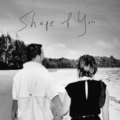 Shape Of You -  T3AM WASP R3MIX
