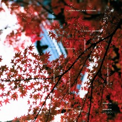 Hugo Lx - Akegata