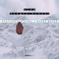 Stèv - Scattered Steams / Dense Water