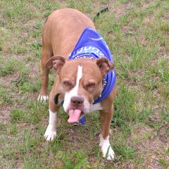 04 IM'a SHOW YOU HOW TO GET IT.mp3