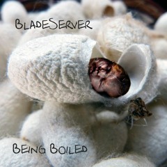 Being Boiled