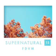 Supernatural 15 by FDVM