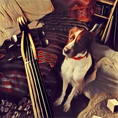 Polska Efter Tulpans Anders | The Gallowglass