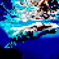 WHALE_PL