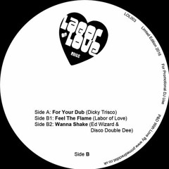 Ed Wizard & Disco Double Dee - Wanna Shake - LOL003 B 2 (OUT NOW!)