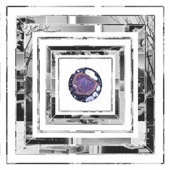 PLTN01 Fusiller - AD&AS (excerpts)