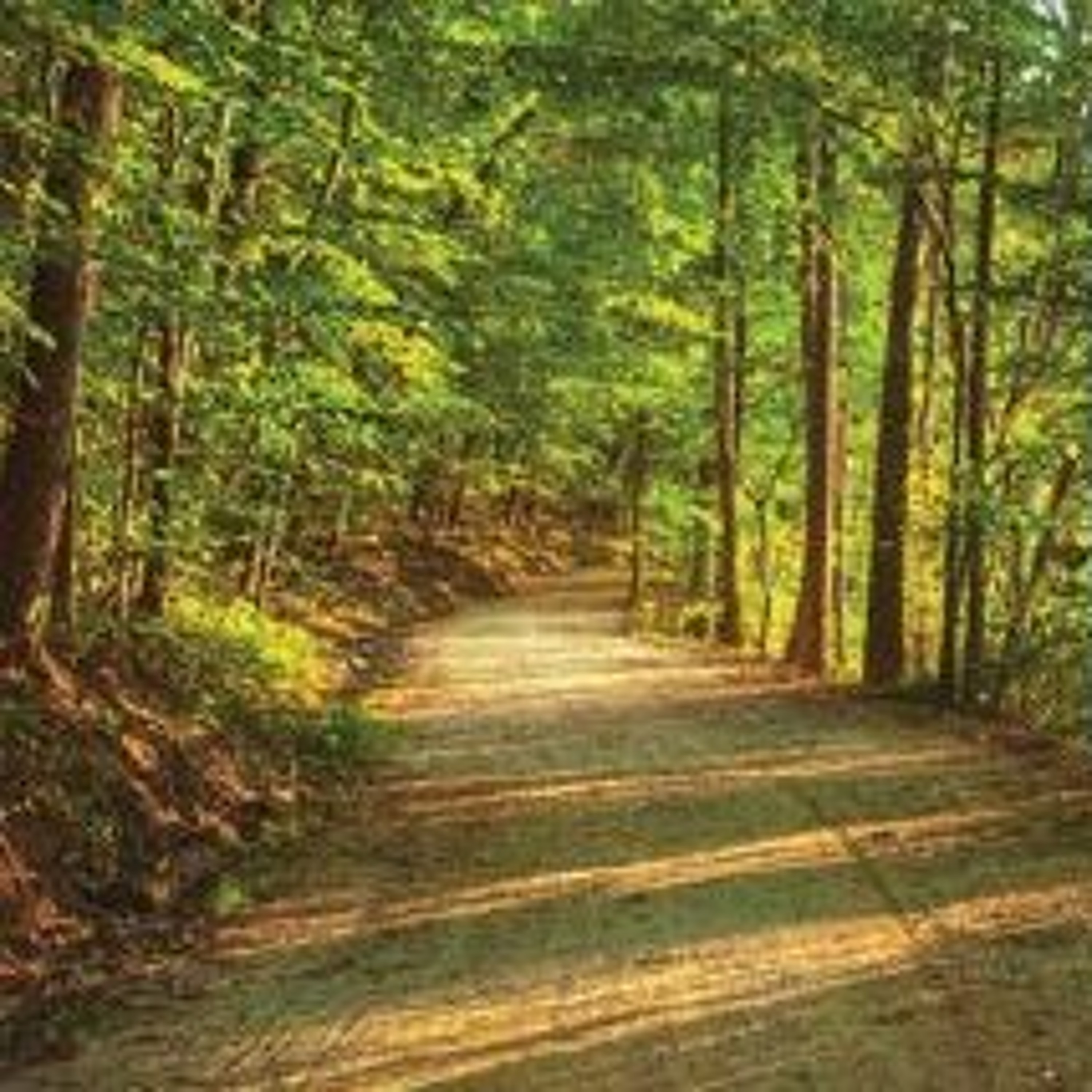 Brian Christopher Clay