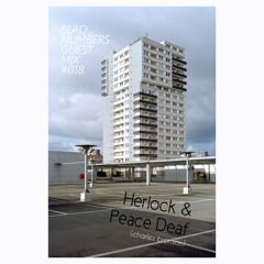 Blaq Numbers Guest Mix #018 - Herlock & Peace Deaf