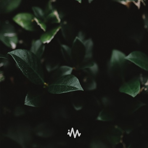 KOSIKK - Unusual