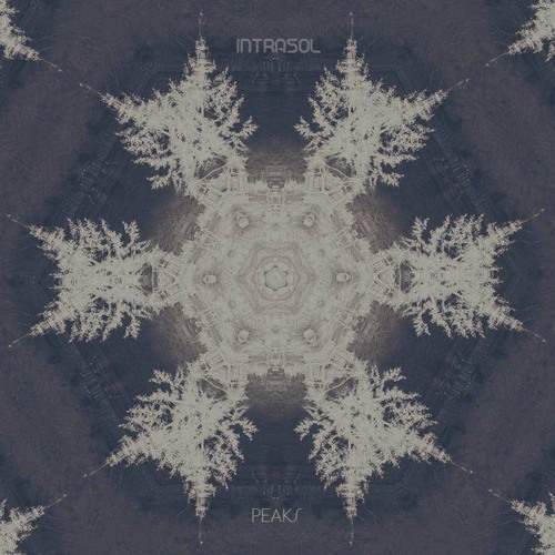 Intrasol - Drop It (STRAND remix)