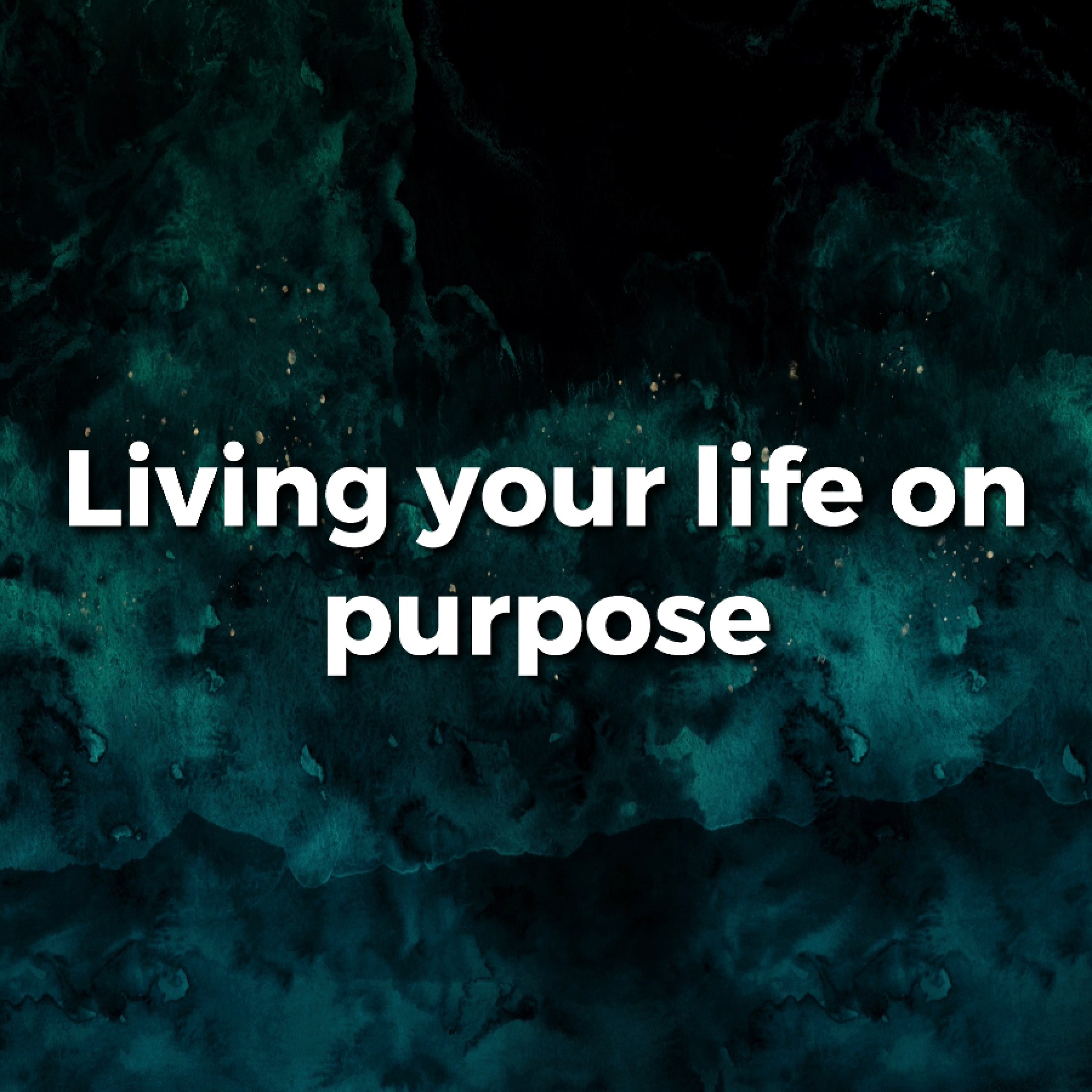 1 - 22 - 17   Living Your Life on Purpose episode artwork
