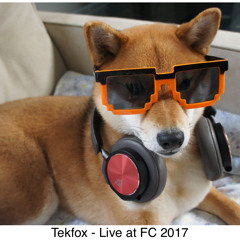 Tekfox - FC 2017
