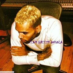 Chris Brown - How I Feel (2011)