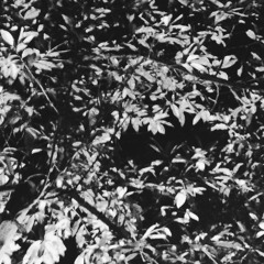 HEAVEN - Troye Sivan Cover