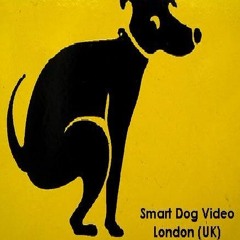 Paris Violence - En Attendant L'apocalypse