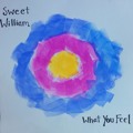 Sweet&#x20;William My&#x20;Connection Artwork