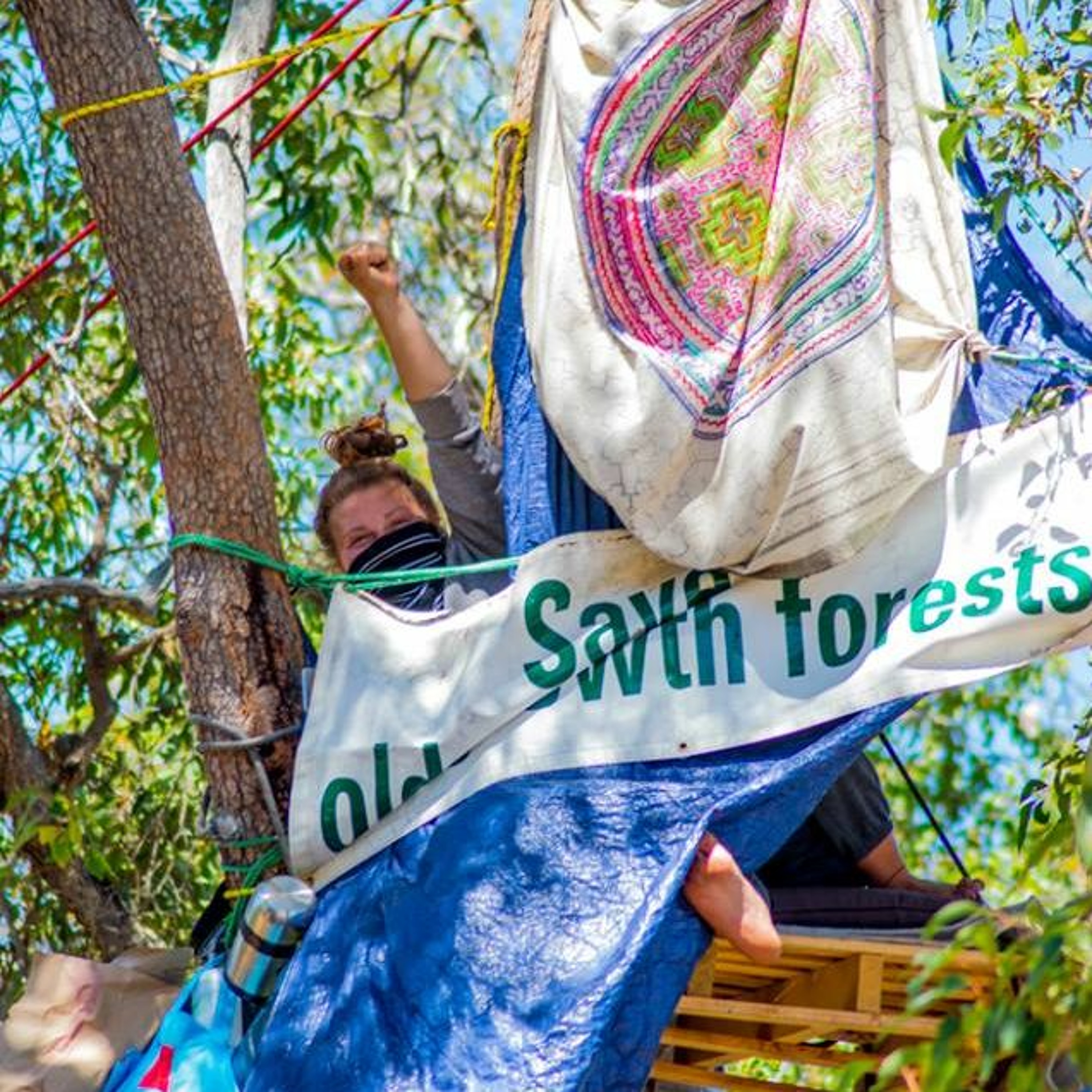 Emma June on her epic tree sit protesting #Roe8 and #NakedforNature episode artwork
