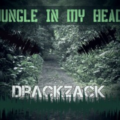 Jungle In My Head (Drackzack dj set)