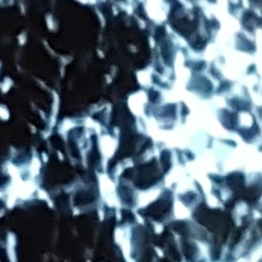 Head bangers and mash.m4a