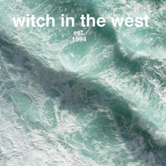 Witch Sticks