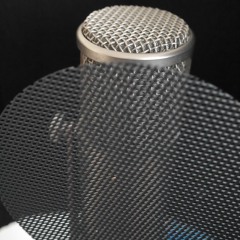 Voice Work