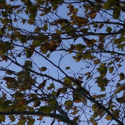 PHXNIX & R.X.A.C.H. -Back&Fourth (Prod. By R.X.A.C.H.)