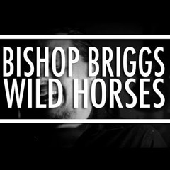 Bishop Briggs - Wild Horses ( Remix)FREE DOWNLOAD