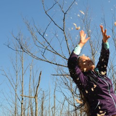 AMILLion Angels - DAYGOTS 17