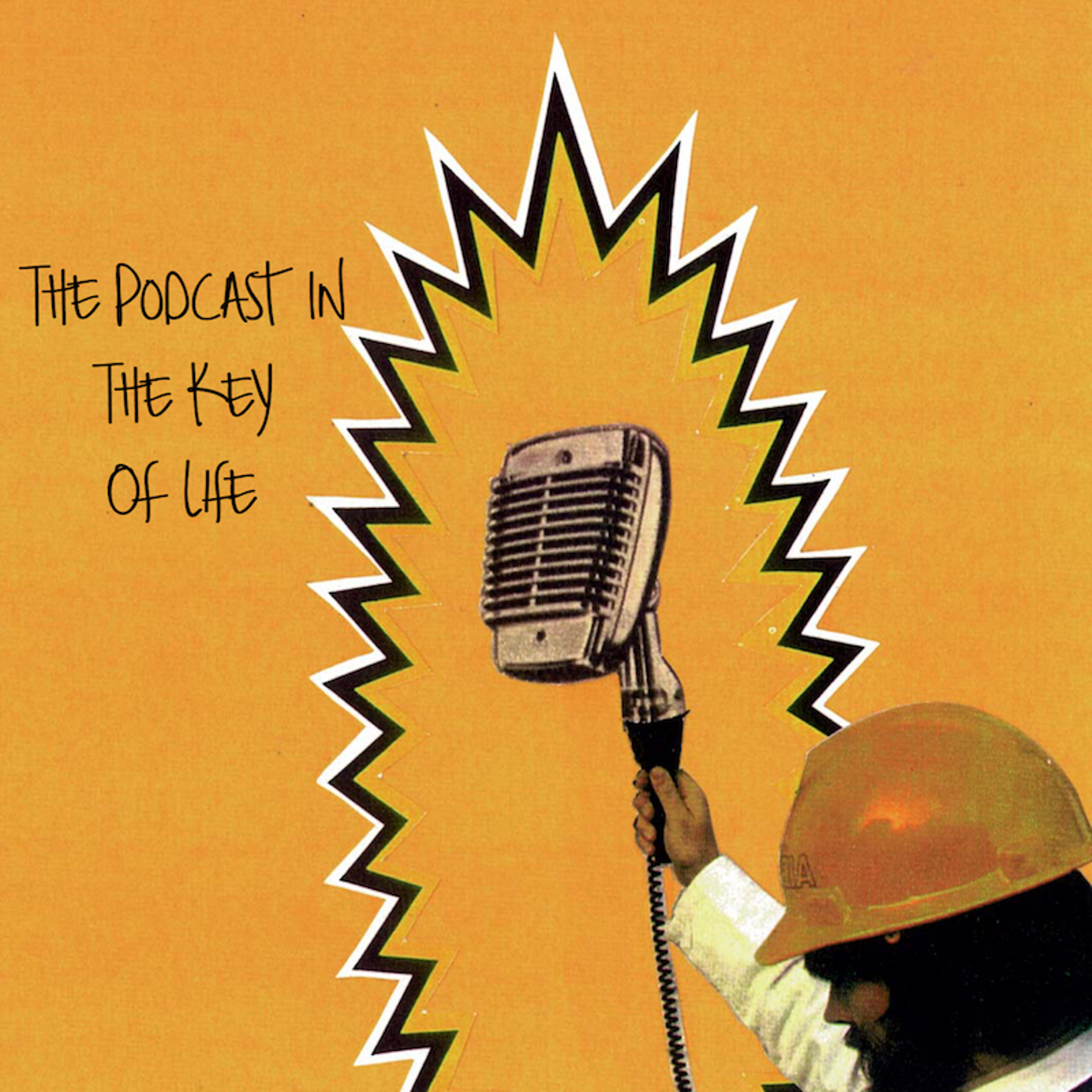 Podcast in the Key of Life - Newest Edition episode artwork