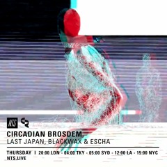 CR 19-01-17 CR BROSDEM
