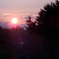 Tommy Boy - Inspiration