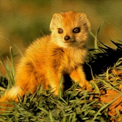 Team Mongoose - Ratchet