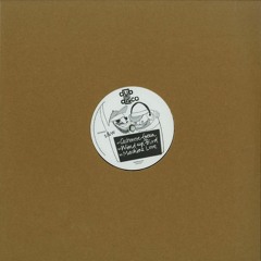 PREMIERE: S&W - Wind Up Bird [Dub Disco]