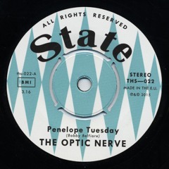 THE OPTIC NERVE—Penelope Tuesday