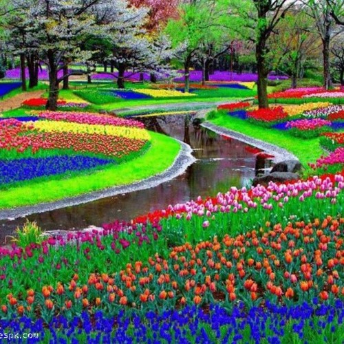 Loreen's Gardens Mix 1