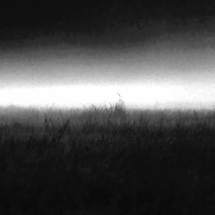 Oblivion