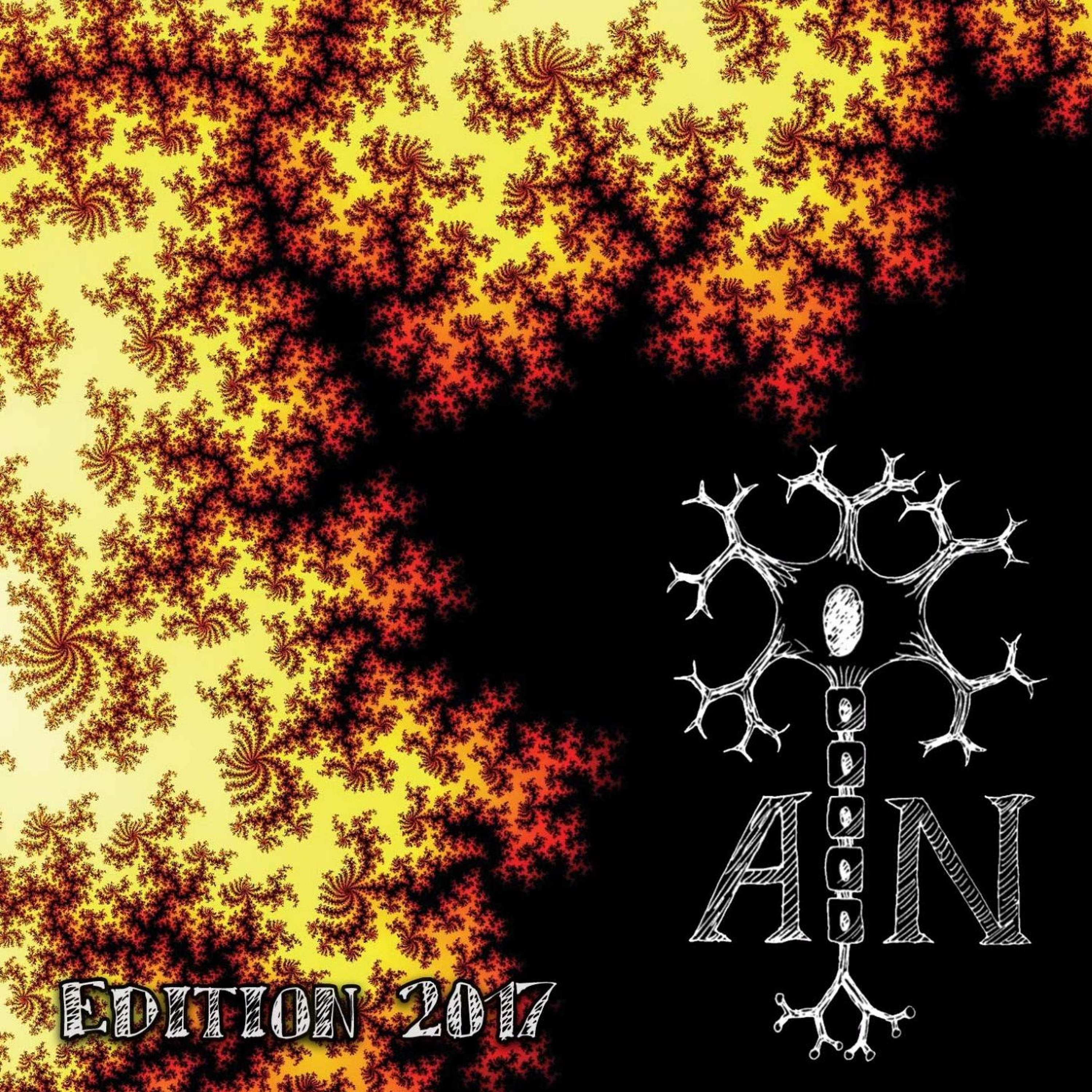 Feynman's Flower episode artwork