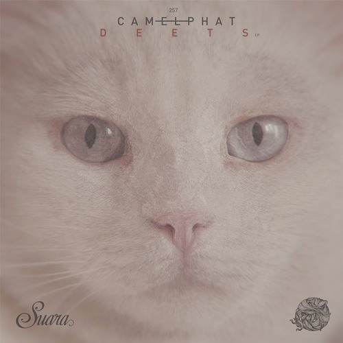 [Suara 257] CamelPhat - The System (Original Mix) Snippet
