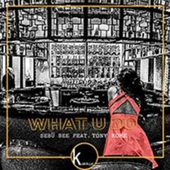 Sebü Bee feat. Tony Rome "What U Do" original mix