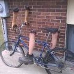 Let's Have Some Fun (Free Download)