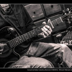 THE VERVE COVER BY STEFAN CODVELL