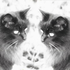 @ Kater Blau Berlin, Montag 9. Januar 2017