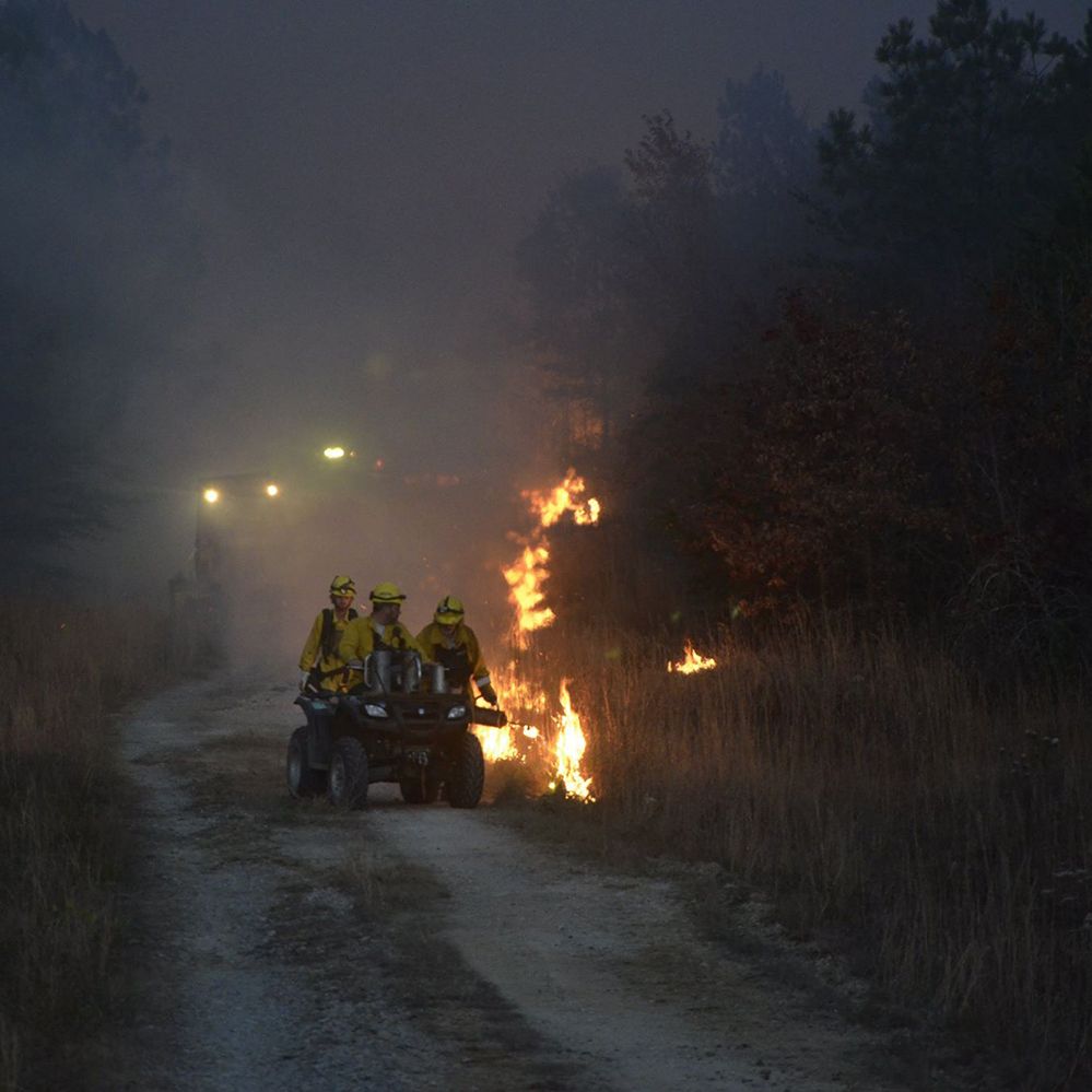 006: Why did Tennessee's mountains burn and what now? episode artwork