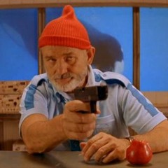 Rebel Rebel (The Life Aquatic)