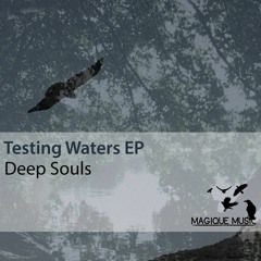 Deep Souls - Get Lost (Original Mix) [Preview]