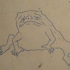 Cane Toad 2