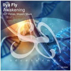 Ilya Fly - Awakening (Original Mix)[piece]